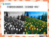 人美版美術(shù)五上第11課《色彩的明度》課件+教學(xué)設(shè)計(jì)