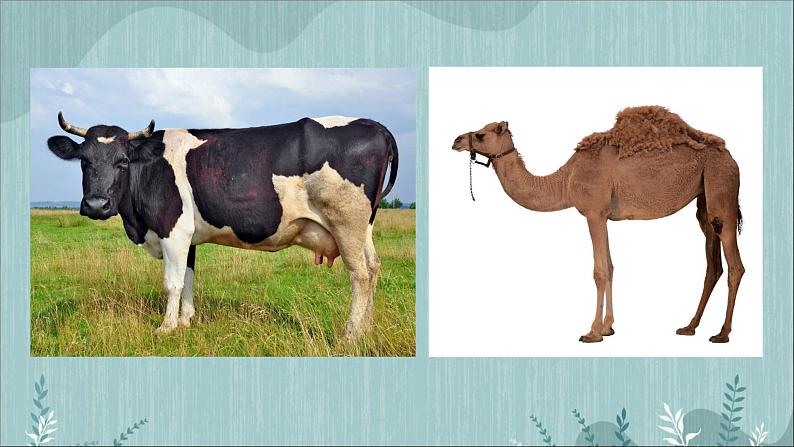 冀美版二年级美术下册第8课《折纸动物》教学课件08