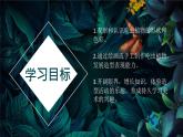 冀美版二年級美術(shù)下冊第17課《吃蟲子的植物》教學(xué)課件