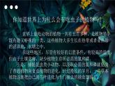 冀美版二年級美術(shù)下冊第17課《吃蟲子的植物》教學(xué)課件