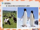 人教版小學(xué)美術(shù)三年級(jí)上冊(cè)《黑與白》課件+配套教案+配套視頻