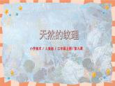 人教版小学美术三年级上册《天然的纹理》课件+配套教案+配套视频