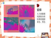 岭南版3上美术第7课《可爱的水墨昆虫》课件+教案