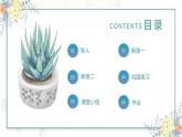 浙美版1上美术4《生活中的基本形》教案+课件