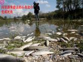 六年級上冊美術(shù)課件-11.廢舊物的“新生命”4-人教版(共35張PPT)