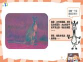 岭南版3上美术第10课《我的动物朋友》课件+教案