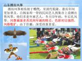 赣美版美术五年级上册18《多姿多彩的风筝》课件