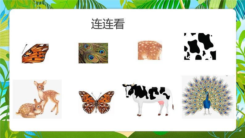 浙美版1上美术17《动物身上的斑点》课件第8页