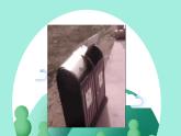 小學(xué)美術(shù) 嶺南版 二年級(jí)《分類垃圾桶》 pptx 課件