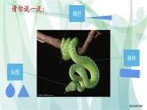 小學(xué)美術(shù) 嶺南版 二年級(jí)《可愛的玩具蛇》 課件