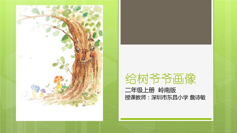小学美术 岭南版 二年级《给树爷爷画像》课件第3页