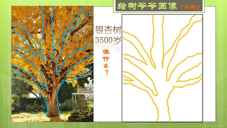 小学美术 岭南版 二年级《给树爷爷画像》课件第4页