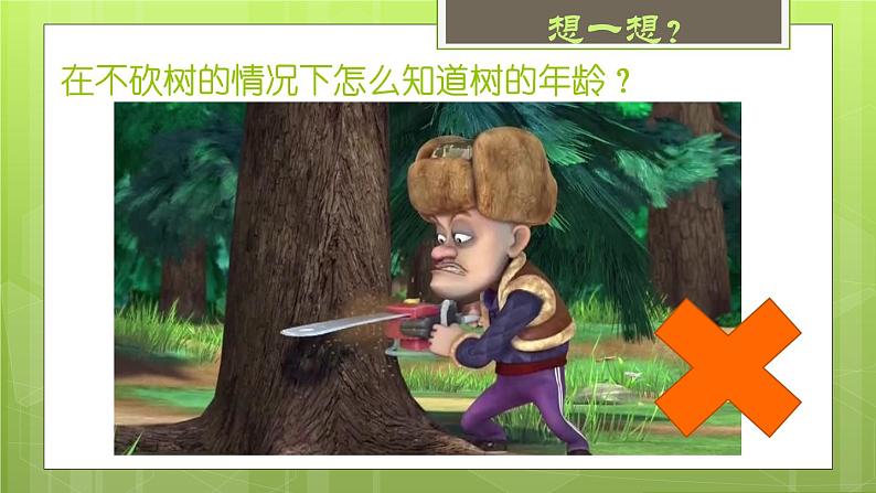 小学美术 岭南版 二年级《给树爷爷画像》课件第8页