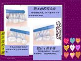 一年级上册美术课件-20 我有一口好牙齿 沪教版
