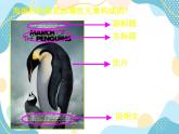 五年级上册美术课件-15 校园海报  ｜沪教版