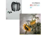 人教版美術(shù)五年級(jí)下冊(cè) 9.寫意蔬果   課件3