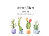 小學(xué)美術(shù) 嶺南版 三年級《奇特的熱帶植物》課件