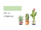小學(xué)美術(shù) 嶺南版 三年級《奇特的熱帶植物》課件