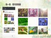 小学美术 岭南版 三年级下册《春天的消息》PPT 课件