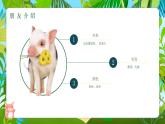 小学美术 岭南版 三年级《我的动物朋友》课件