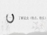 小学美术 岭南版 三年级上册 可爱的水墨昆虫 PPT课件