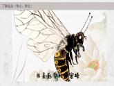 小学美术 岭南版 三年级上册 可爱的水墨昆虫 PPT课件