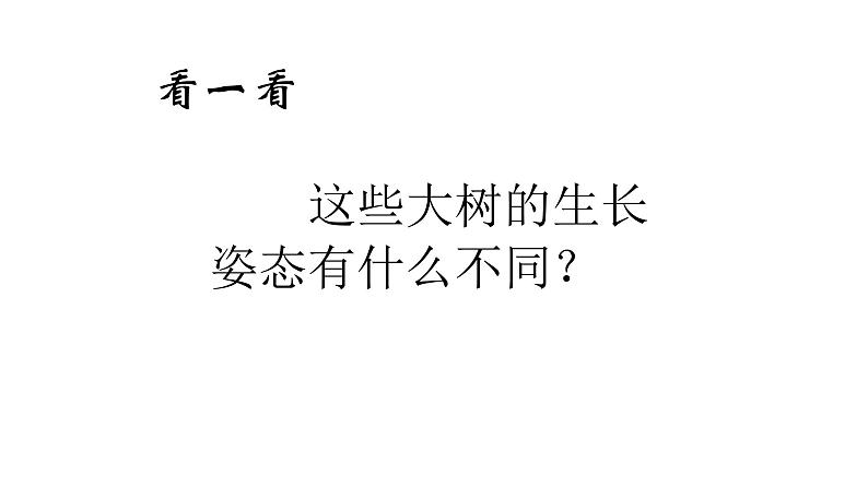 人美版二年级上册美术课件15.大树的故事第4页