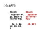 人美版二年級上冊美術(shù)課件17.動物樂園