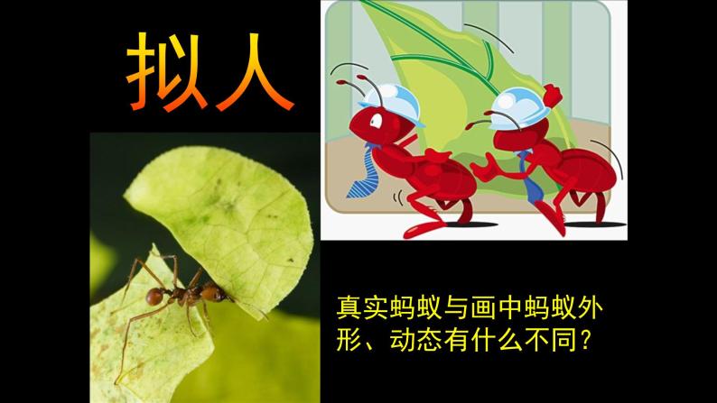 人美版（北京）一年级美术上册 教学课件_1.10 勤劳的小蚂蚁04