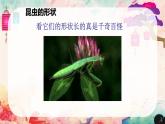 人美版（北京）一年级美术上册 教学课件_第11课  昆虫的一家 课件4