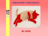 人美版（北京）二年级上册美术教学课件_2.3 小花猫在睡觉