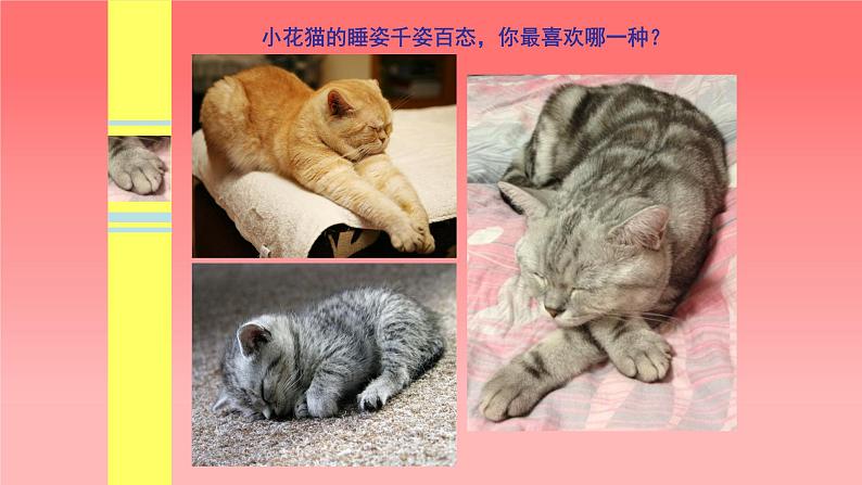 人美版（北京）二年级上册美术教学课件_2.3 小花猫在睡觉05