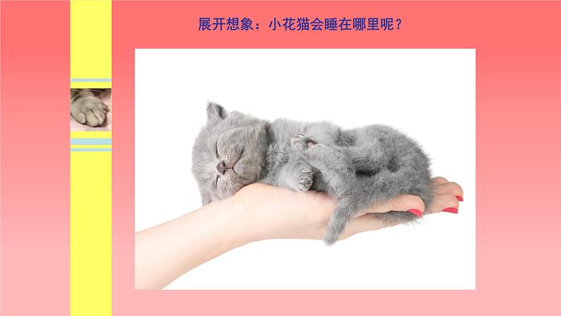 人美版（北京）二年级上册美术教学课件_2.3 小花猫在睡觉07