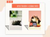 人美版（北京）二年级上册美术教学课件_第3课 小花猫在睡觉