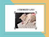 人美版（北京）二年级上册美术 教学课件_第3课 小花猫在睡觉
