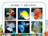 小學(xué)美術(shù) 一年級上冊 第八課《魚兒游游》課件PPT+教案