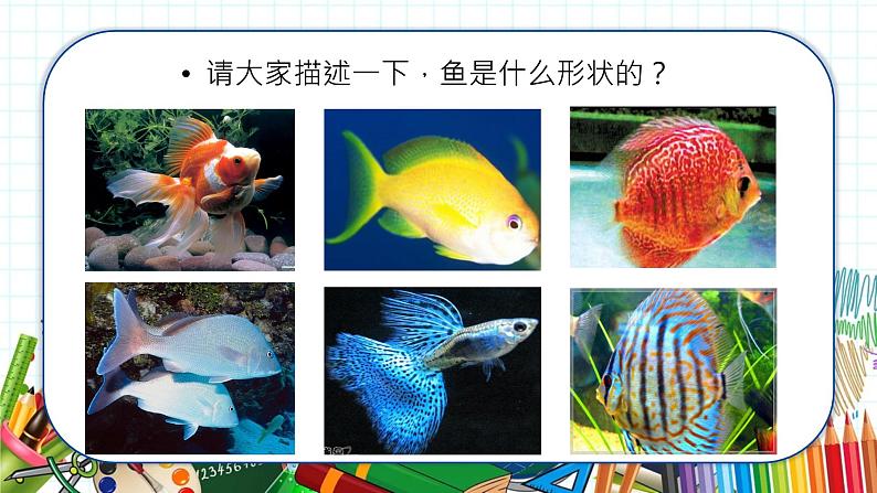 小学美术 一年级上册 第八课《鱼儿游游》课件PPT+教案03