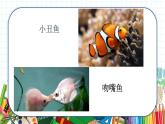 小學(xué)美術(shù) 一年級上冊 第八課《魚兒游游》課件PPT+教案