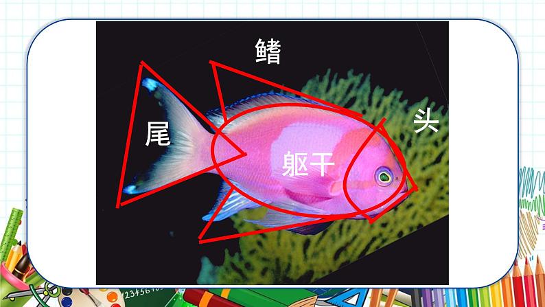 小学美术 一年级上册 第八课《鱼儿游游》课件PPT+教案08