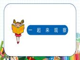 小学美术 一年级上册 第二十课《美丽的植物和动物》课件PPT+教案