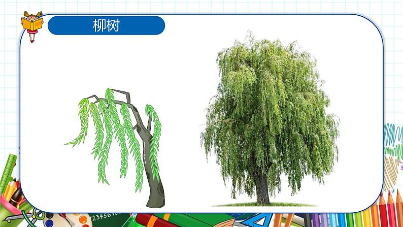 小学美术 一年级上册 第二十课《美丽的植物和动物》课件PPT+教案05