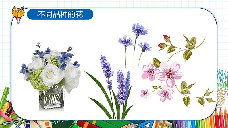 小学美术 一年级上册 第二十课《美丽的植物和动物》课件PPT+教案08