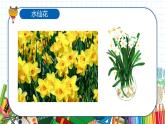小学美术 一年级上册 第十一课《花儿寄深情》课件PPT+教案