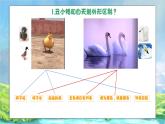 小学美术 一年级下册《丑小鸭与白天鹅》授课PPT课件