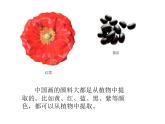 自制顏料_課件1