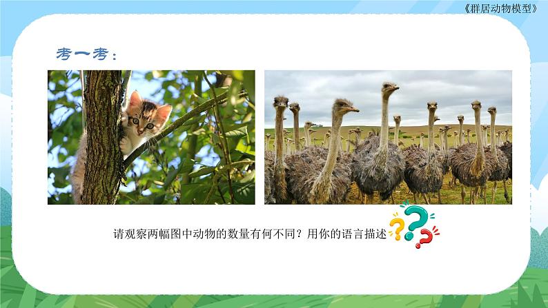 第17课《群居动物模型》课件+教案01