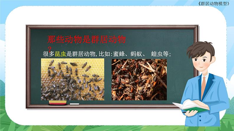 第17课《群居动物模型》课件+教案07