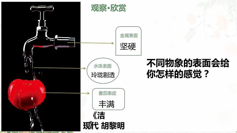 第8课《不同物象的表面特征》课件+教案04