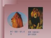 人美版（北京）二年级上册美术教学课件_2.8 电脑美术—我的新画板
