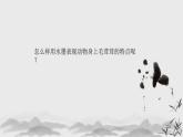 小學美術(shù) 嶺南版 六年級 第十一課 《寫意動物（二）》課件